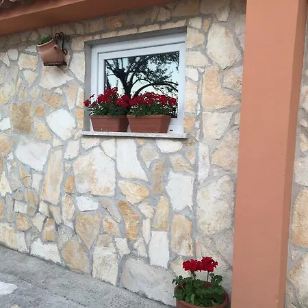 Casa de hóspedes Tariba