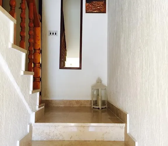 Tariba
